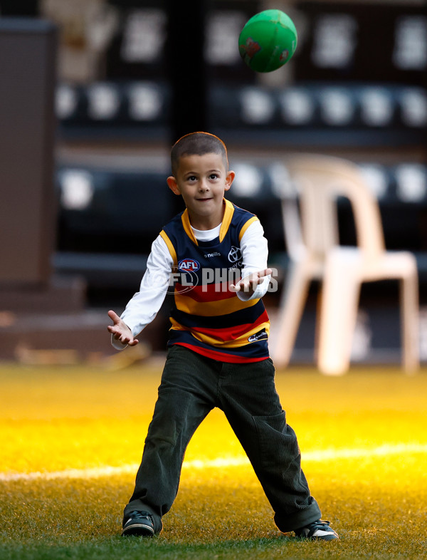AFL 2025 Training - Adelaide 160525 - A-59478911