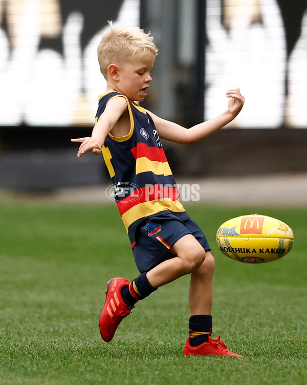 AFL 2025 Training - Adelaide 160525 - A-59478937