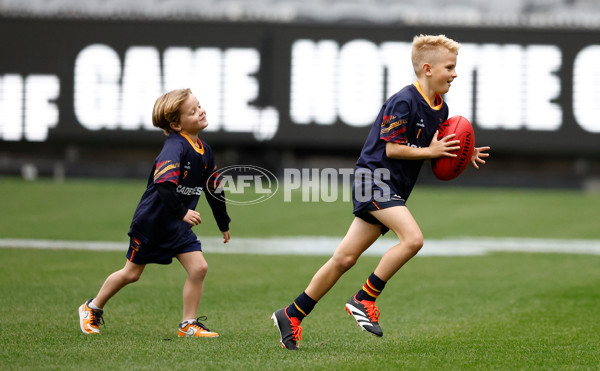 AFL 2025 Training - Adelaide 160525 - A-59478939