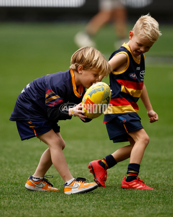 AFL 2025 Training - Adelaide 160525 - A-59478941