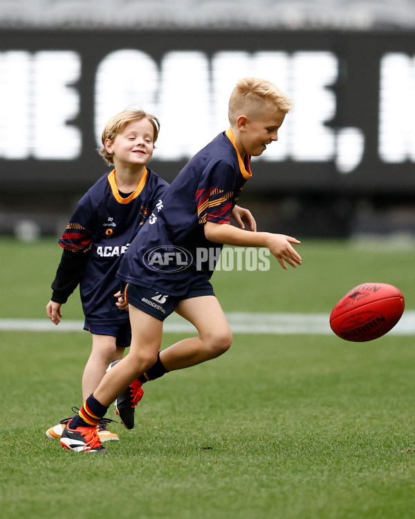 AFL 2025 Training - Adelaide 160525 - A-59478945