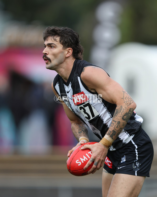 VFL 2025 Round 08 - Collingwood v GWS Giants - A-59490321
