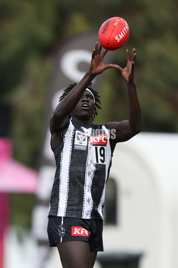 VFL 2025 Round 08 - Collingwood v GWS Giants - A-59490322