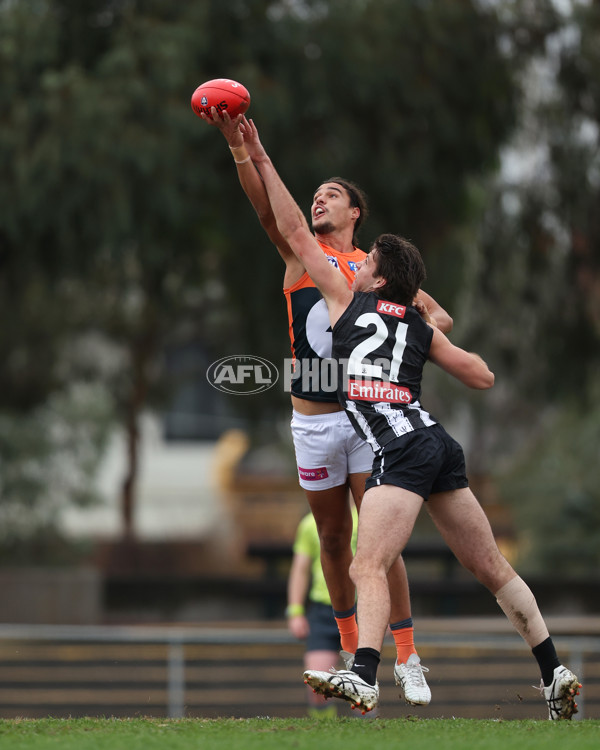 VFL 2025 Round 08 - Collingwood v GWS Giants - A-59490409