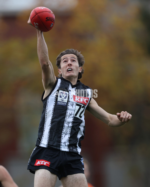 VFL 2025 Round 08 - Collingwood v GWS Giants - A-59490841