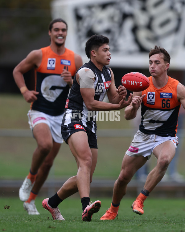 VFL 2025 Round 08 - Collingwood v GWS Giants - A-59490872