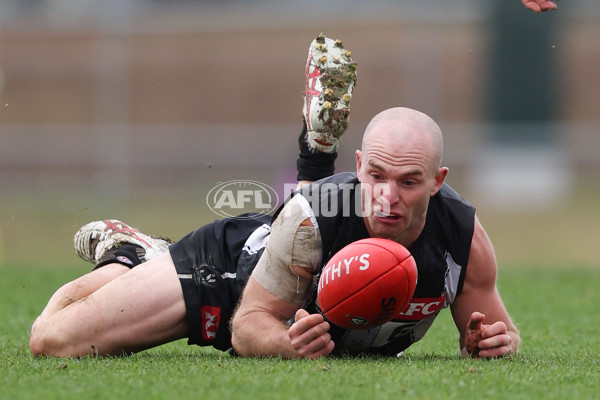 VFL 2025 Round 08 - Collingwood v GWS Giants - A-59490897