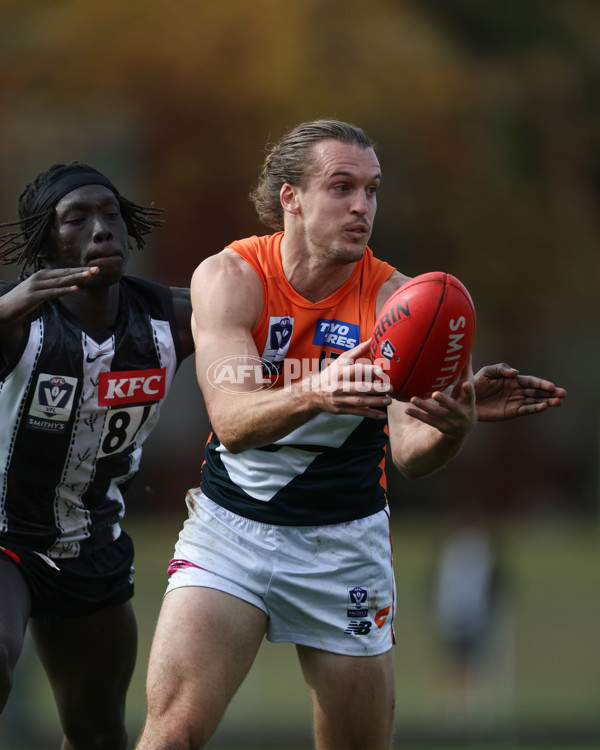 VFL 2025 Round 08 - Collingwood v GWS Giants - A-59492654