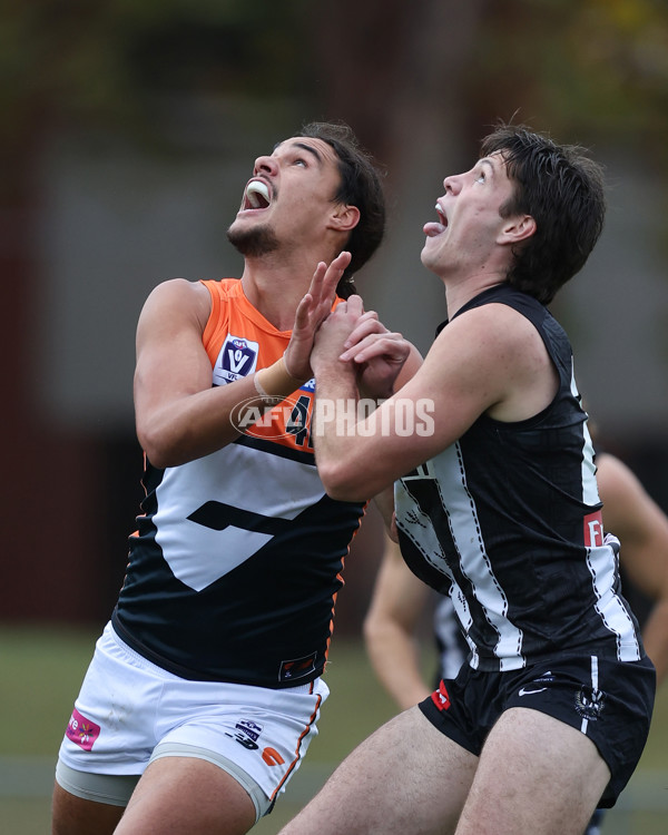 VFL 2025 Round 08 - Collingwood v GWS Giants - A-59492709