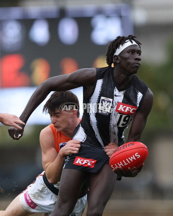 VFL 2025 Round 08 - Collingwood v GWS Giants - A-59492718