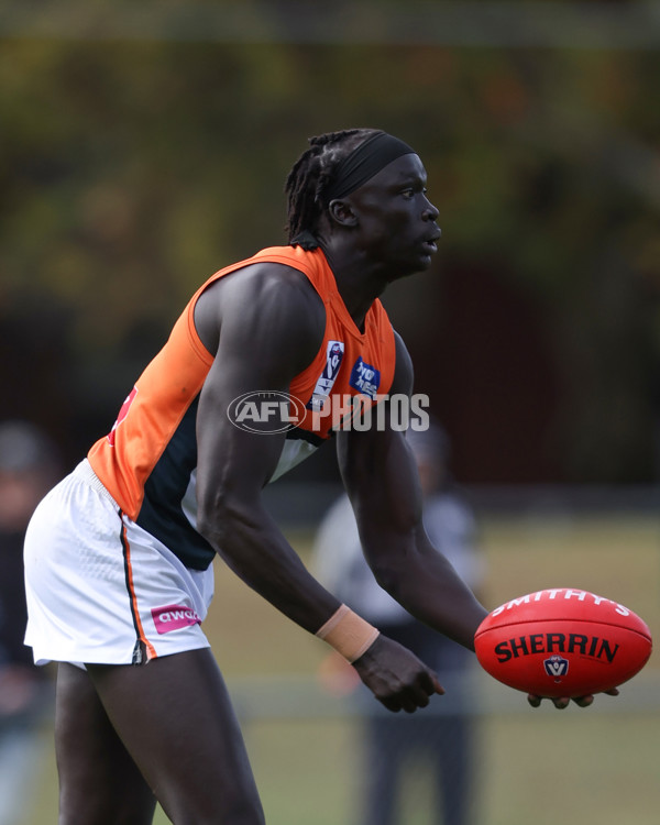 VFL 2025 Round 08 - Collingwood v GWS Giants - A-59492725
