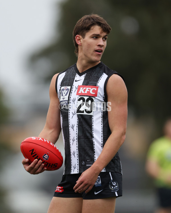 VFL 2025 Round 08 - Collingwood v GWS Giants - A-59494063