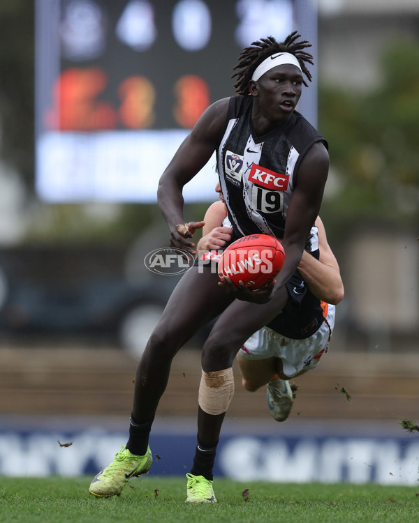VFL 2025 Round 08 - Collingwood v GWS Giants - A-59494079