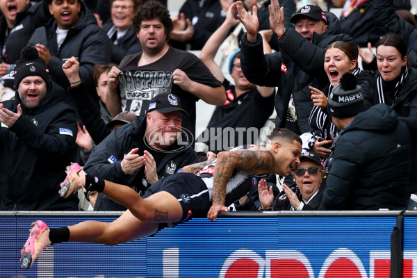 AFL 2025 Round 10 - Collingwood v Kuwarna - A-59494136