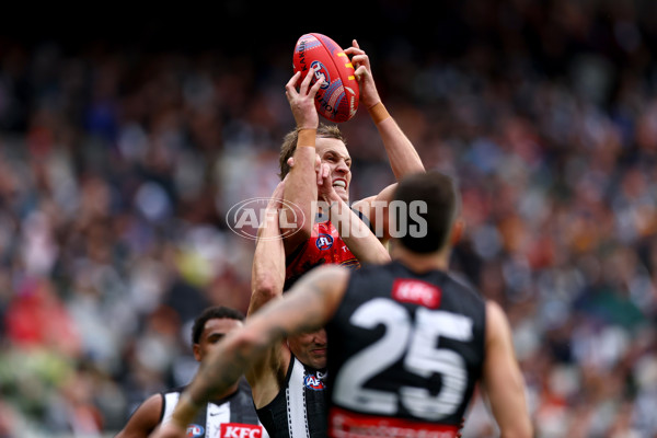 AFL 2025 Round 10 - Collingwood v Kuwarna - A-59495127