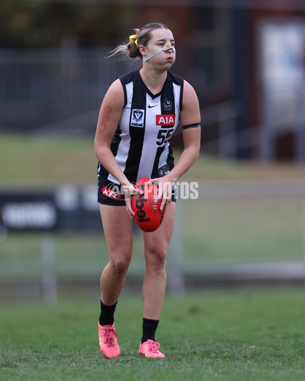 VFLW 2025 Round 08 - Collingwood v Box Hill Hawks - A-59496519