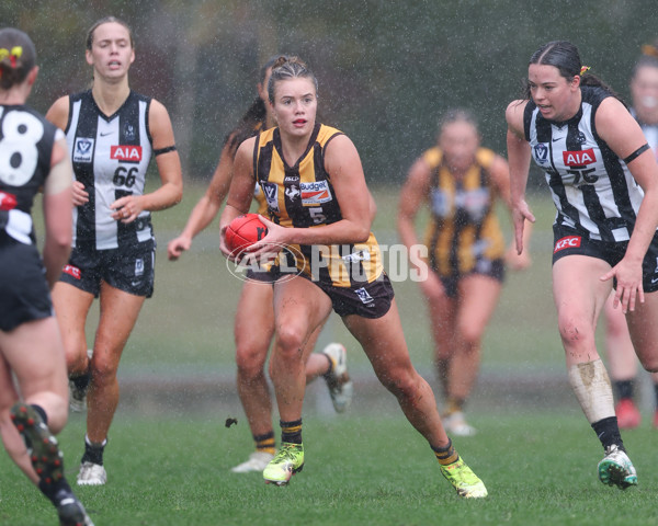 VFLW 2025 Round 08 - Collingwood v Box Hill Hawks - A-59497990