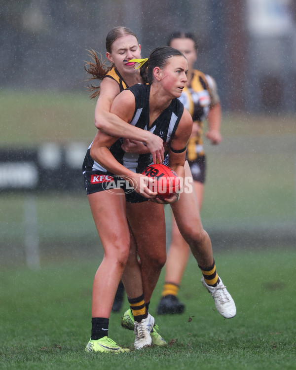 VFLW 2025 Round 08 - Collingwood v Box Hill Hawks - A-59503046