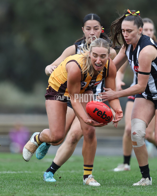 VFLW 2025 Round 08 - Collingwood v Box Hill Hawks - A-59503053