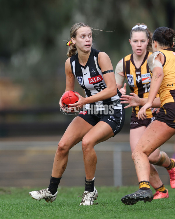 VFLW 2025 Round 08 - Collingwood v Box Hill Hawks - A-59504488