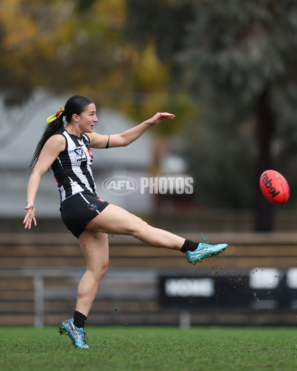 VFLW 2025 Round 08 - Collingwood v Box Hill Hawks - A-59505565