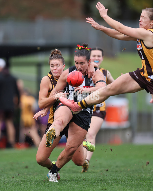VFLW 2025 Round 08 - Collingwood v Box Hill Hawks - A-59505567