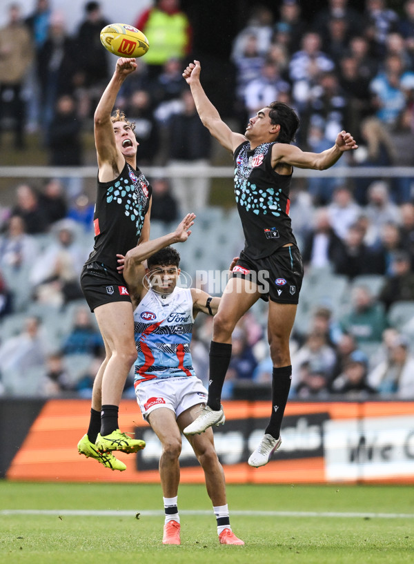 AFL 2025 Round 10 - Yartapuulti v Geelong - A-59505654