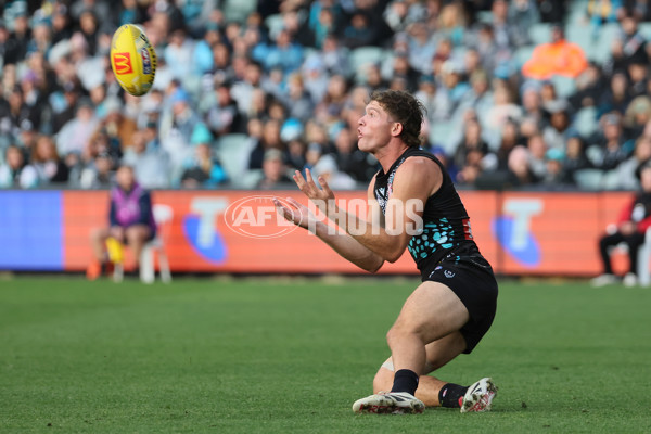 AFL 2025 Round 10 - Yartapuulti v Geelong - A-59507498