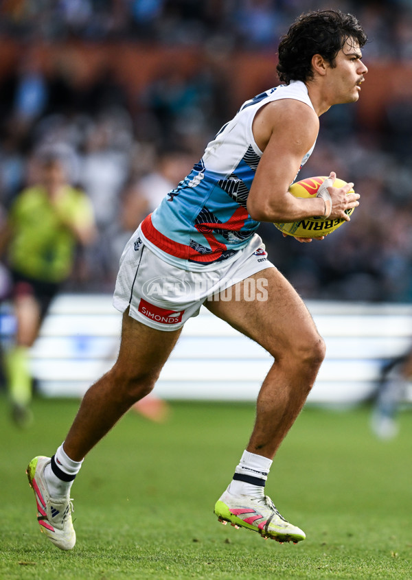 AFL 2025 Round 10 - Yartapuulti v Geelong - A-59507554