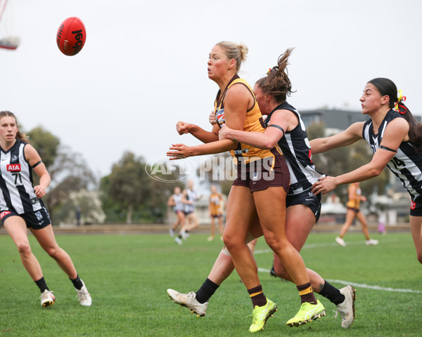 VFLW 2025 Round 08 - Collingwood v Box Hill Hawks - A-59508133