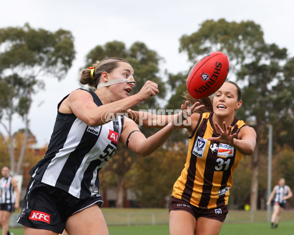 VFLW 2025 Round 08 - Collingwood v Box Hill Hawks - A-59508140