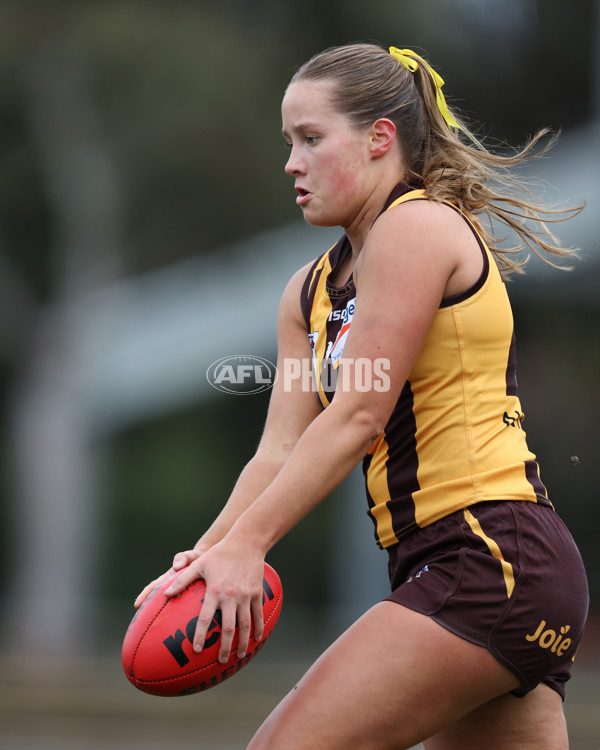 VFLW 2025 Round 08 - Collingwood v Box Hill Hawks - A-59508144