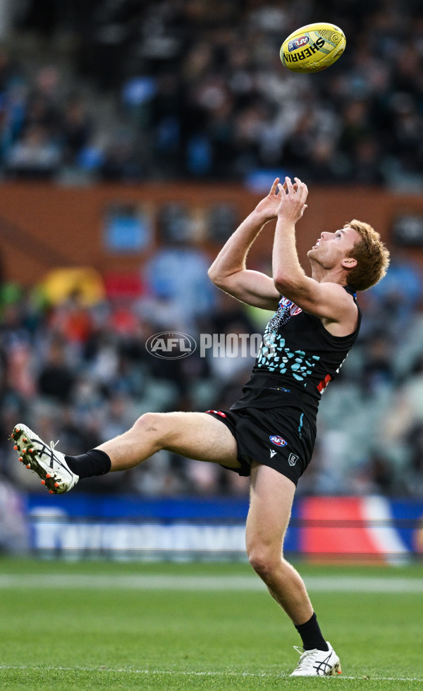 AFL 2025 Round 10 - Yartapuulti v Geelong - A-59510231