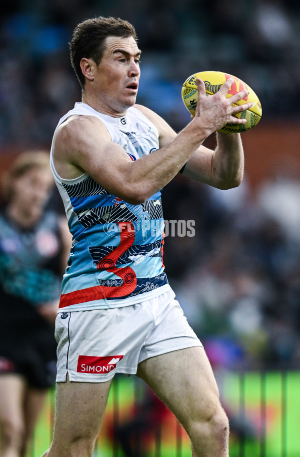 AFL 2025 Round 10 - Yartapuulti v Geelong - A-59510244