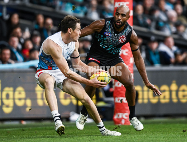 AFL 2025 Round 10 - Yartapuulti v Geelong - A-59510258