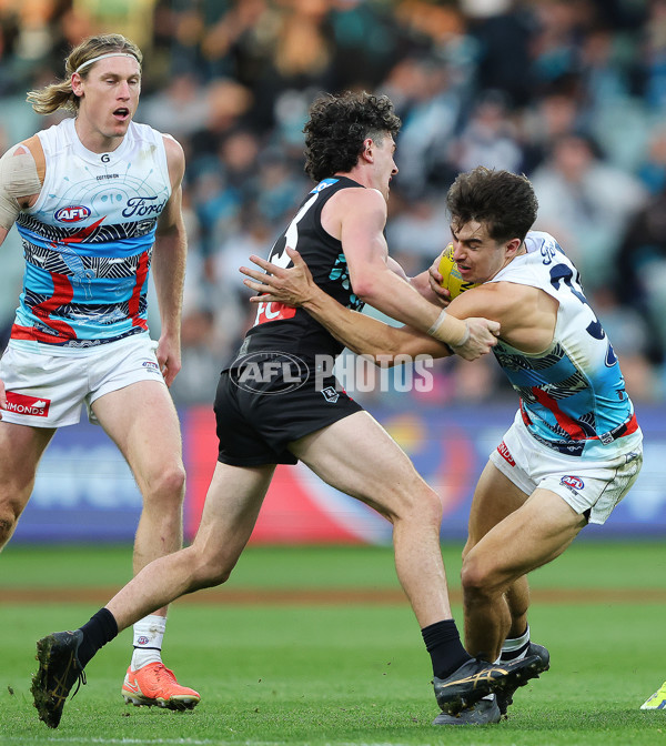 AFL 2025 Round 10 - Yartapuulti v Geelong - A-59510840
