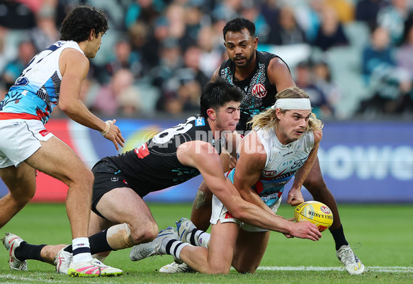 AFL 2025 Round 10 - Yartapuulti v Geelong - A-59510849