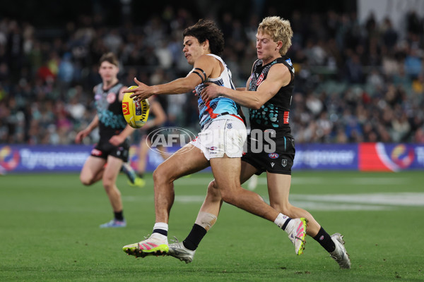 AFL 2025 Round 10 - Yartapuulti v Geelong - A-59513183