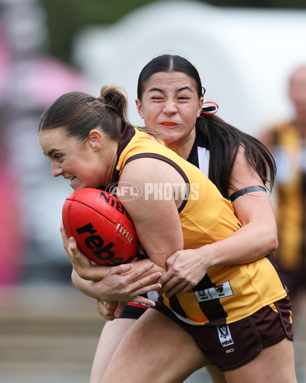 VFLW 2025 Round 08 - Collingwood v Box Hill Hawks - A-59513215