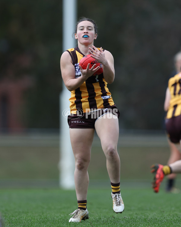 VFLW 2025 Round 08 - Collingwood v Box Hill Hawks - A-59513219
