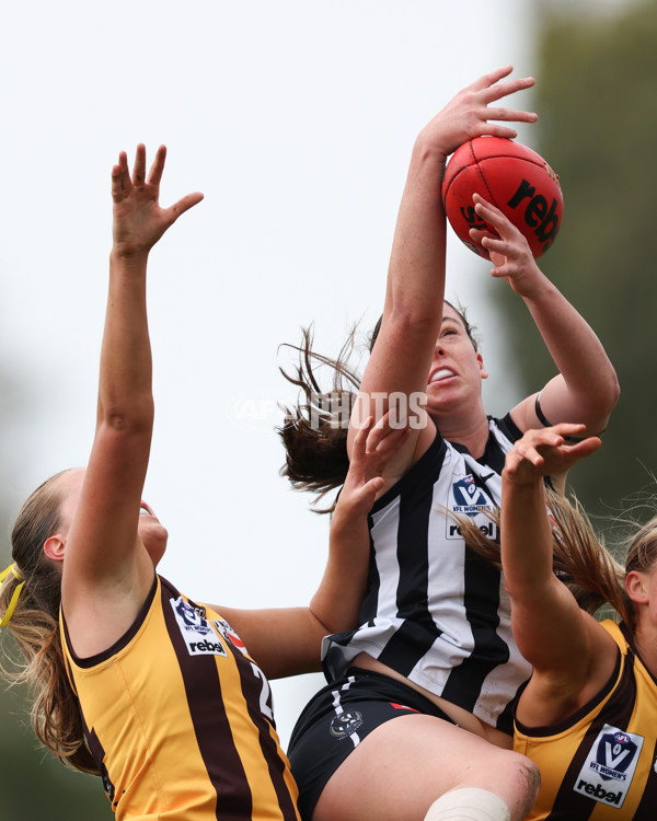 VFLW 2025 Round 08 - Collingwood v Box Hill Hawks - A-59513500