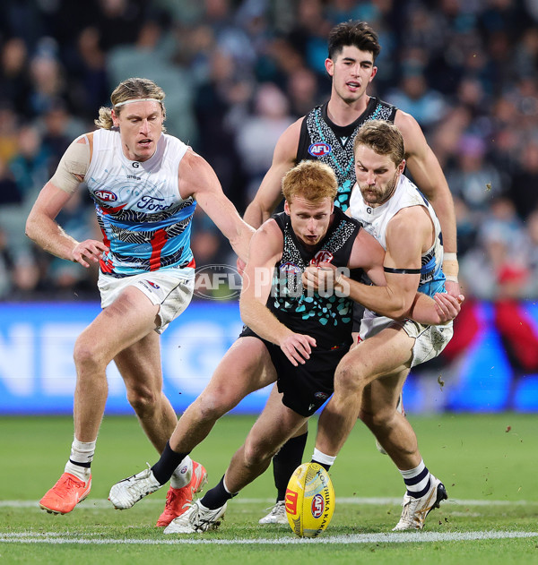 AFL 2025 Round 10 - Yartapuulti v Geelong - A-59515588