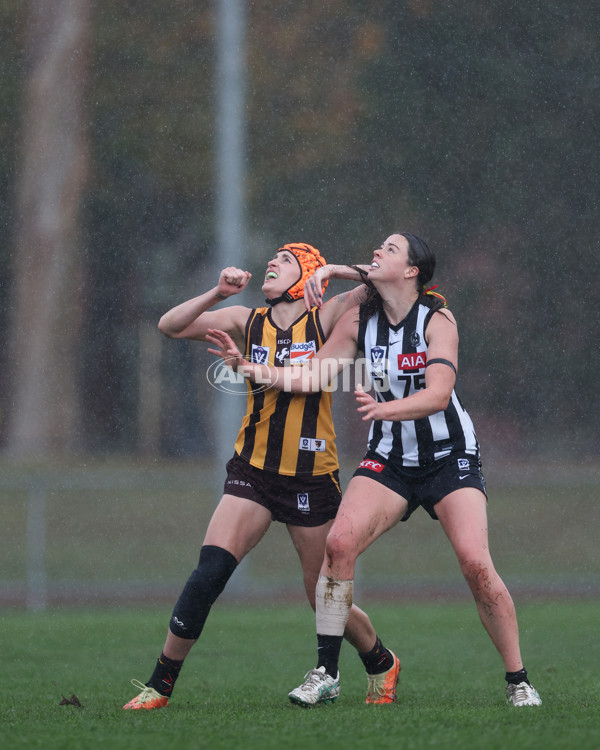 VFLW 2025 Round 08 - Collingwood v Box Hill Hawks - A-59516537