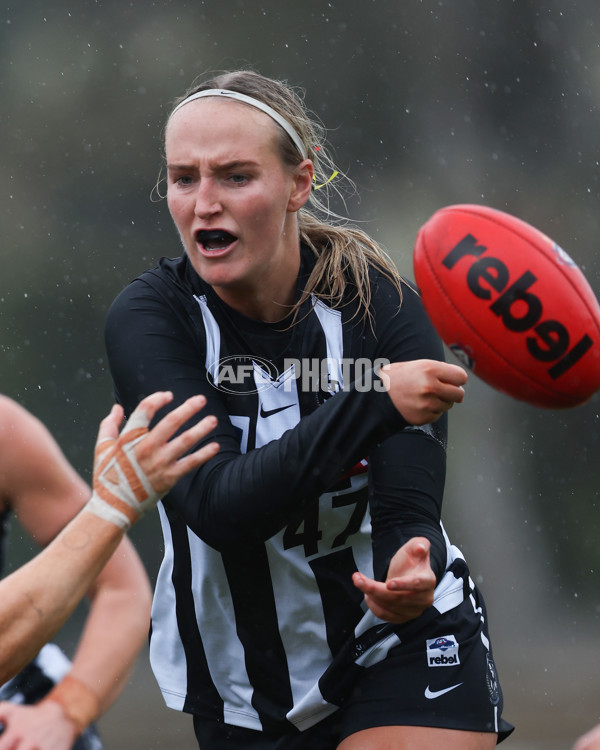 VFLW 2025 Round 08 - Collingwood v Box Hill Hawks - A-59516540