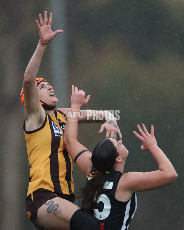 VFLW 2025 Round 08 - Collingwood v Box Hill Hawks - A-59516544