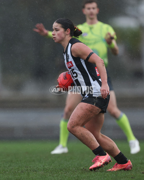 VFLW 2025 Round 08 - Collingwood v Box Hill Hawks - A-59516547