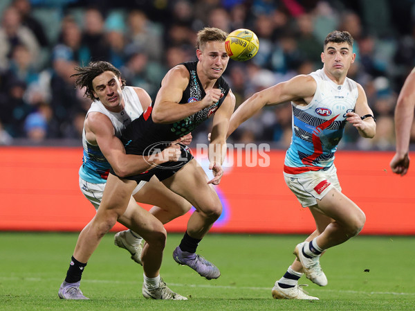 AFL 2025 Round 10 - Yartapuulti v Geelong - A-59516558