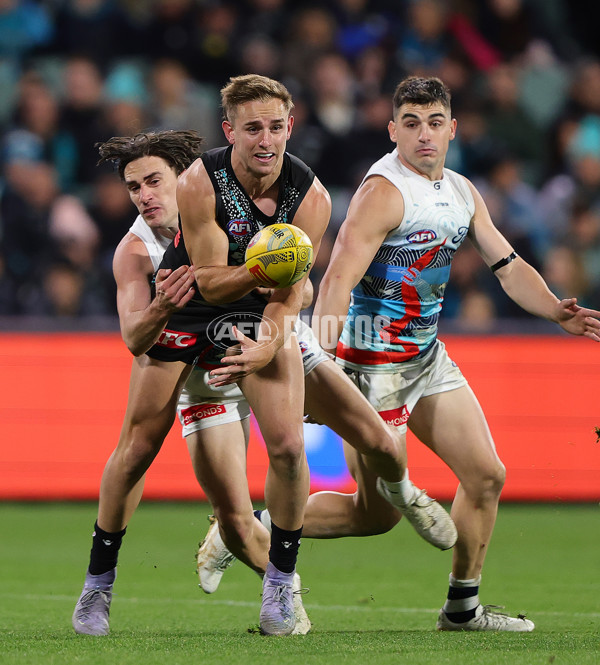 AFL 2025 Round 10 - Yartapuulti v Geelong - A-59518595