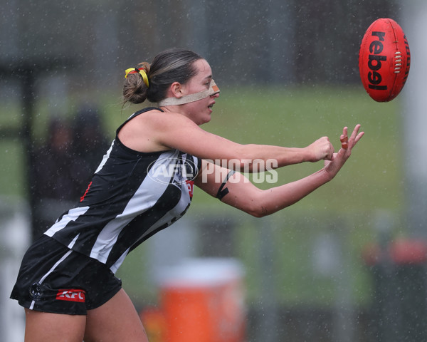 VFLW 2025 Round 08 - Collingwood v Box Hill Hawks - A-59521864