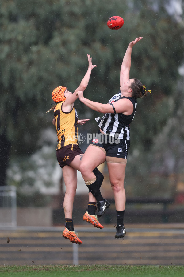 VFLW 2025 Round 08 - Collingwood v Box Hill Hawks - A-59521865